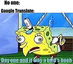 Damn it Google Translate... - Imgflip